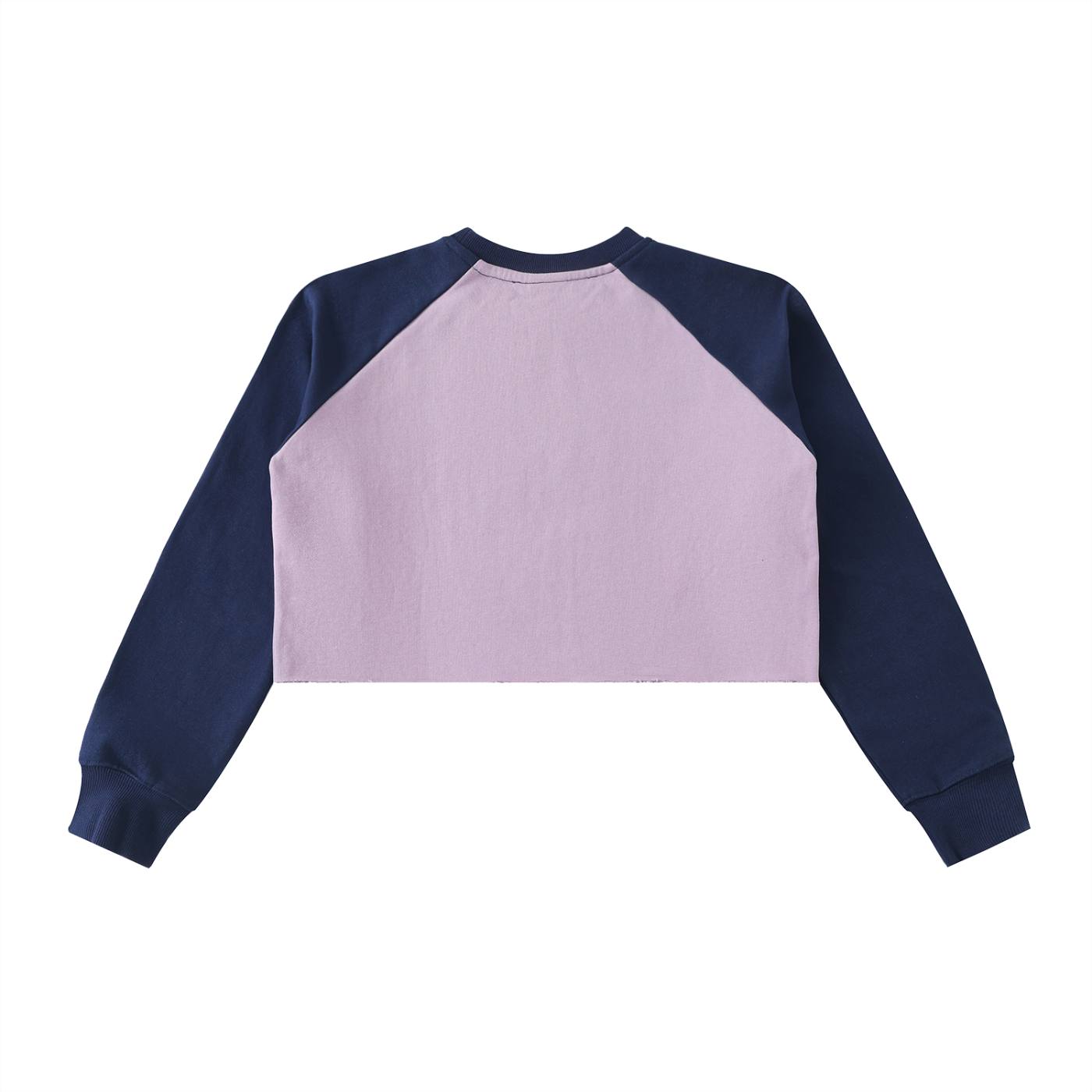 Retro Raw-Hem Crop Sweatshirt