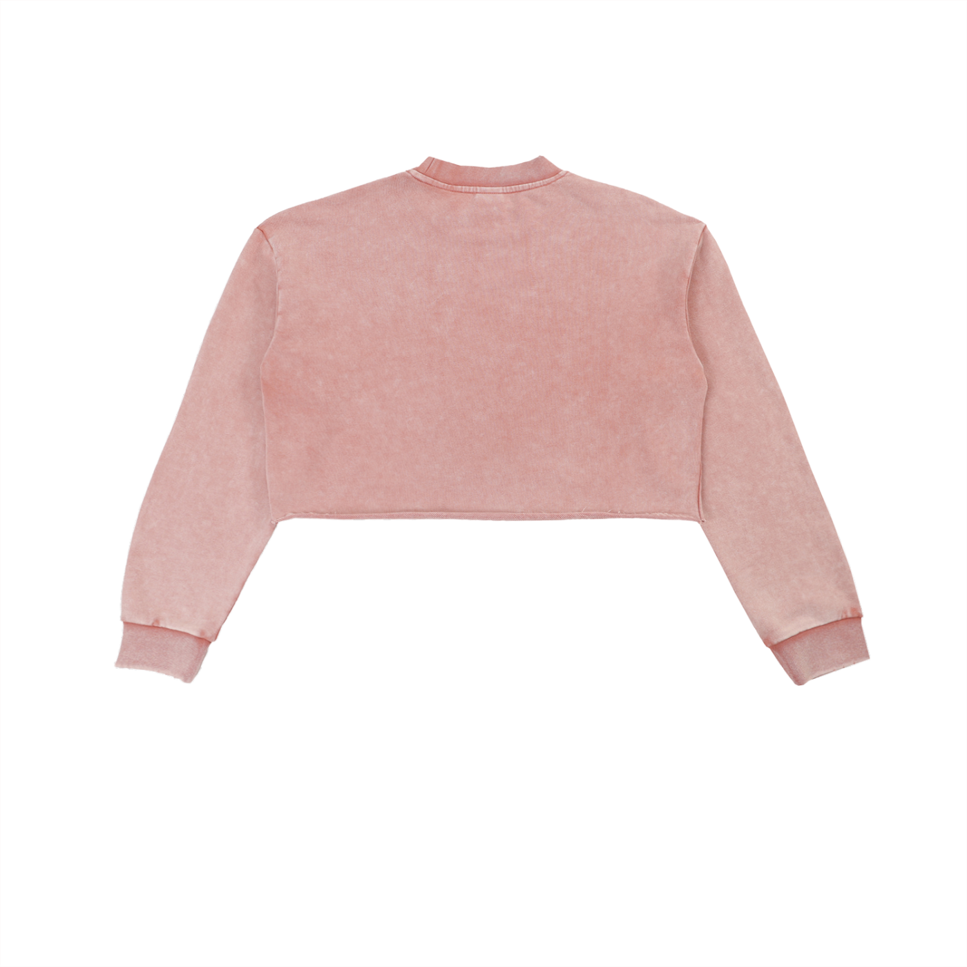 Washed Cropped Sweatshirt