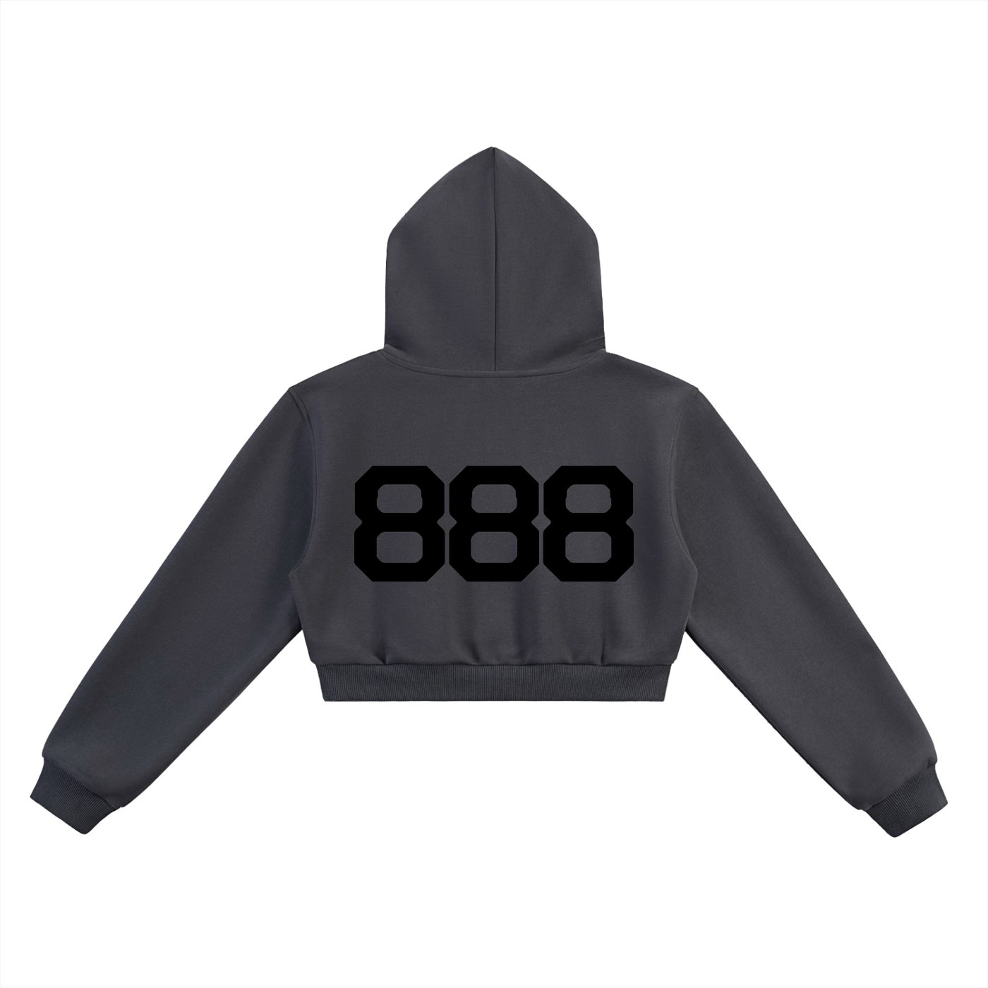 888 Cropped Hoodie