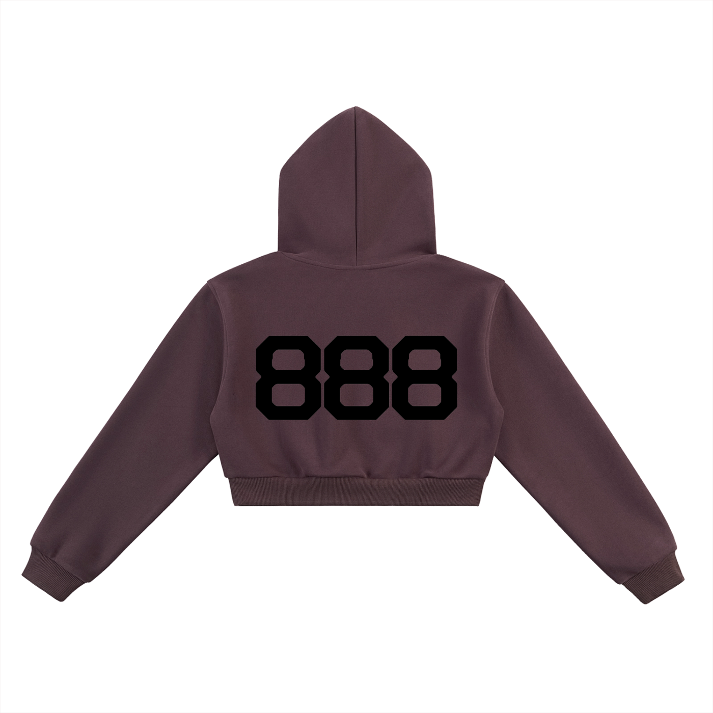 888 Cropped Hoodie