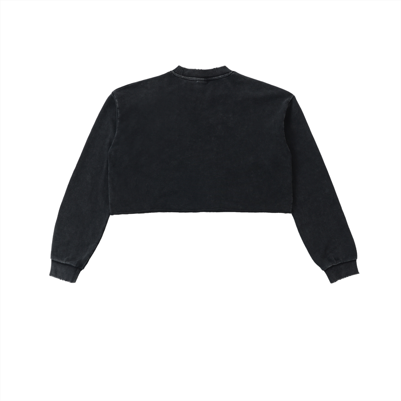 Washed Cropped Sweatshirt